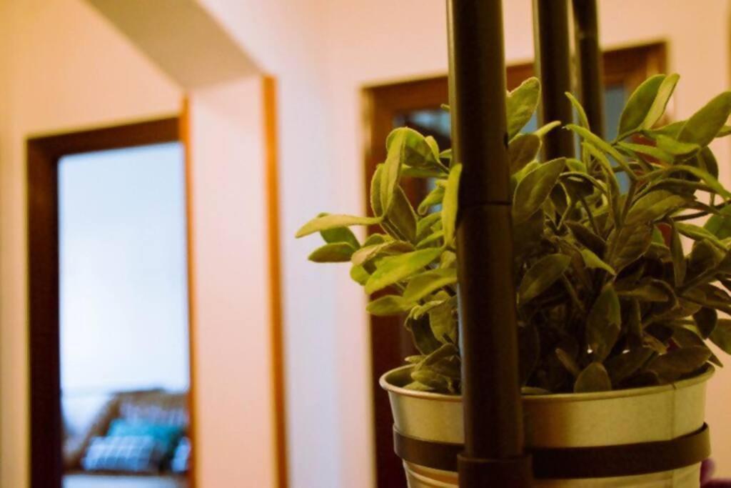 Conide, El Mirador Apartment โอเบียโด ห้อง รูปภาพ